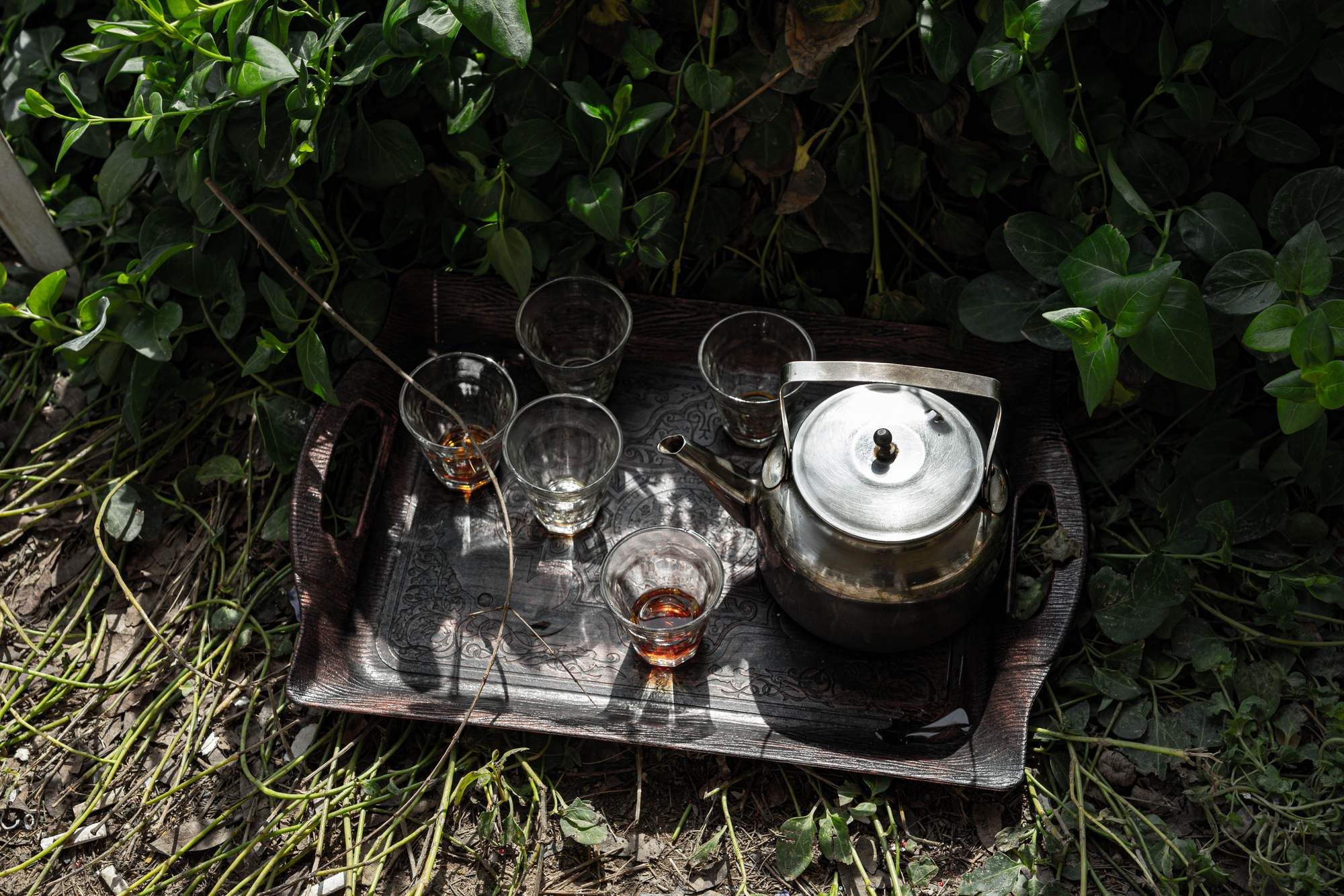 A metal tray on the ground among leaves, with a silver kettle and several small glasses, two with tea left in them.